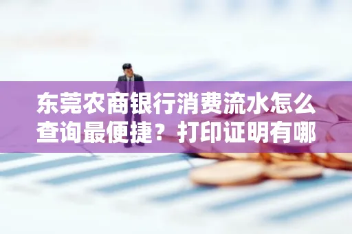 东莞农商银行消费流水怎么查询最便捷？打印证明有哪些风险需注意？